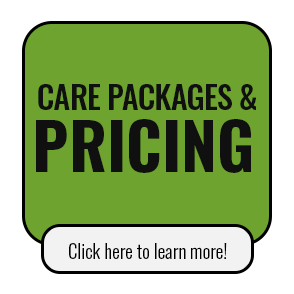 chiropractor near me special offer